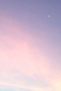 拓荒者国王的摇篮曲：血脉传承的传奇与宿命