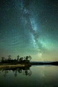 拓荒者国王的摇篮曲：血脉传承的传奇与宿命