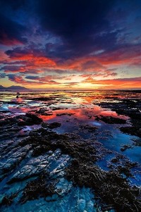 波黑战斯洛伐克：伊比舍维奇的荣耀征途，重塑绿白军团之魂