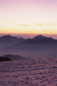 蓝白勇士的呐喊：柏林赫塔，团结铸就辉煌！