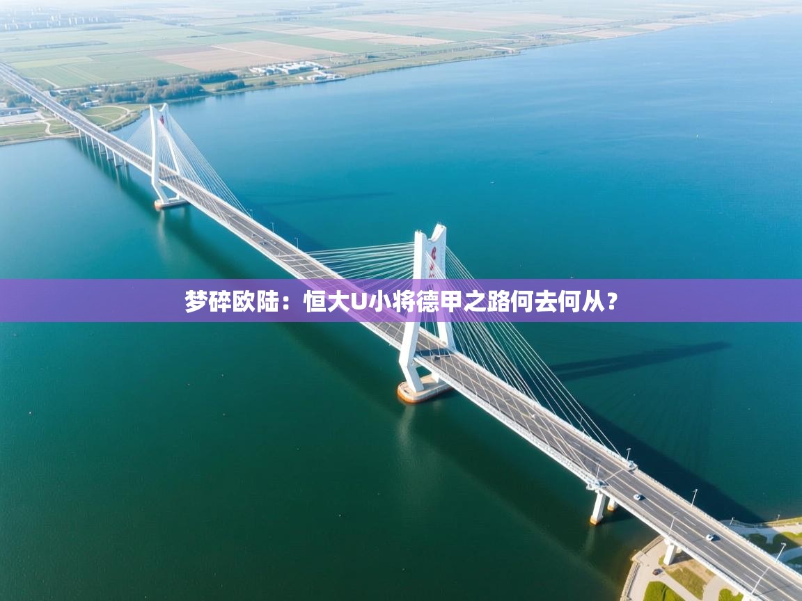 梦碎欧陆：恒大U小将德甲之路何去何从？  第2张